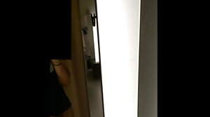 단계 자매의 단 수분이 많은 가슴 과 단단한 젊은 고양이